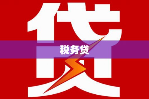 连云港税务贷