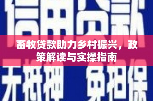 连云港畜牧贷款助力乡村振兴，政策解读与实操指南