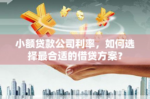 连云港小额贷款公司利率，如何选择最合适的借贷方案？
