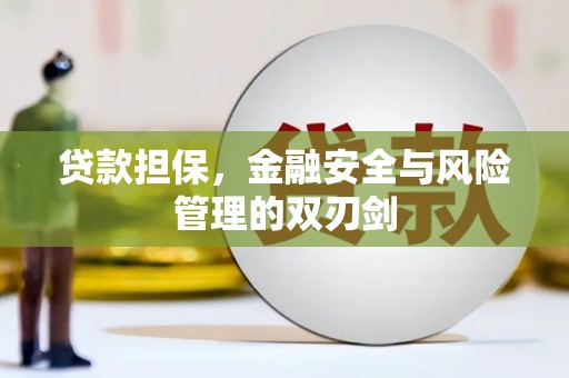 连云港贷款担保，金融安全与风险管理的双刃剑