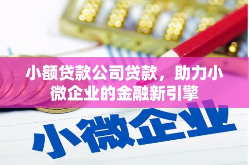 连云港小额贷款公司贷款，助力小微企业的金融新引擎