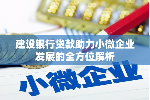连云港建设银行贷款助力小微企业发展的全方位解析