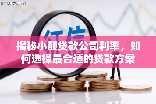 连云港揭秘小额贷款公司利率，如何选择最合适的贷款方案