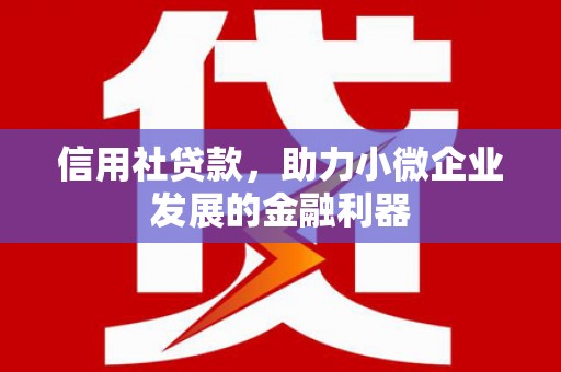 连云港信用社贷款，助力小微企业发展的金融利器