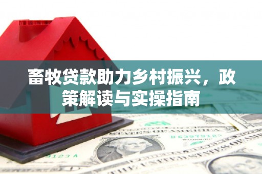 连云港畜牧贷款助力乡村振兴，政策解读与实操指南