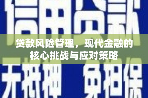 连云港贷款风险管理，现代金融的核心挑战与应对策略
