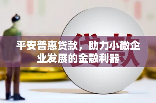 连云港平安普惠贷款，助力小微企业发展的金融利器
