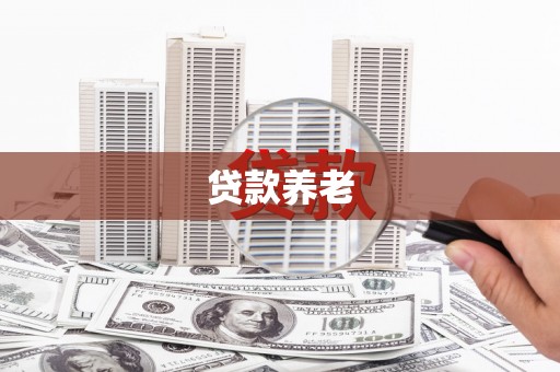 连云港贷款养老
