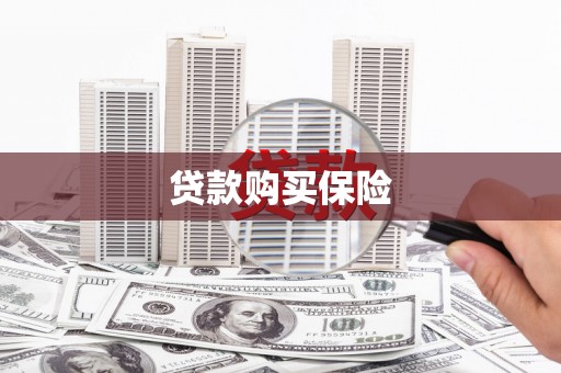 连云港贷款购买保险