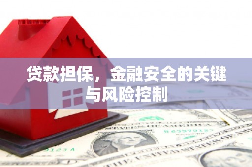 连云港贷款担保，金融安全的关键与风险控制