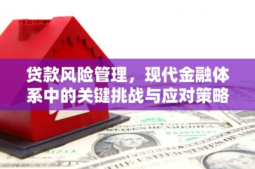 连云港贷款风险管理，现代金融体系中的关键挑战与应对策略