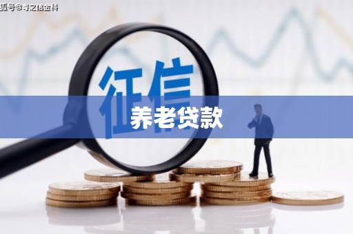 连云港养老贷款