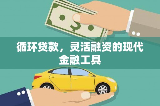 连云港循环贷款，灵活融资的现代金融工具