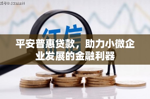连云港平安普惠贷款，助力小微企业发展的金融利器