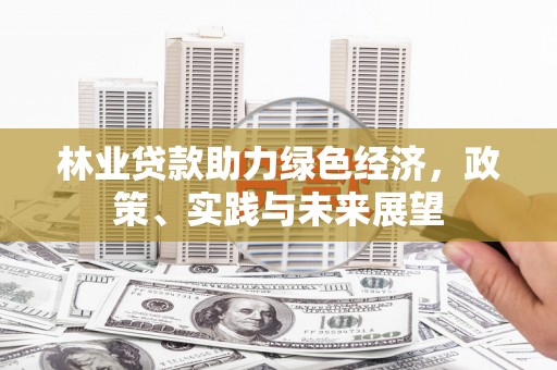连云港林业贷款助力绿色经济，政策、实践与未来展望