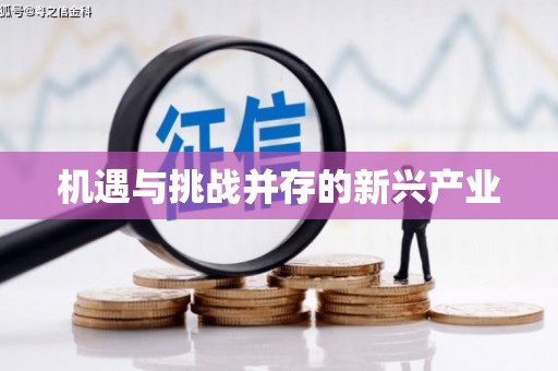 连云港机遇与挑战并存的新兴产业