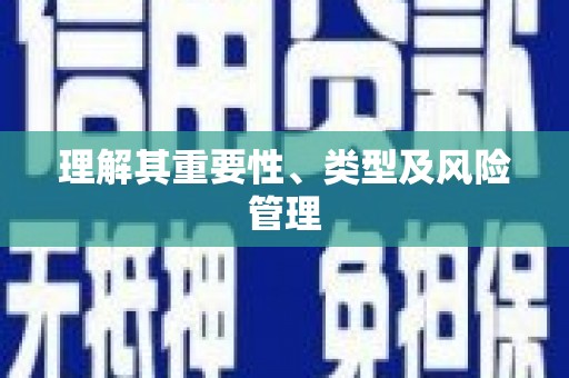 连云港理解其重要性、类型及风险管理