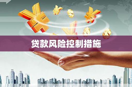 连云港贷款风险控制措施