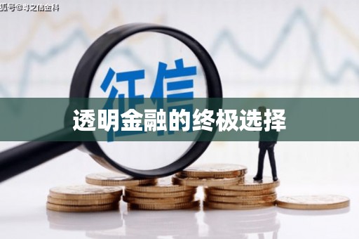 连云港透明金融的终极选择