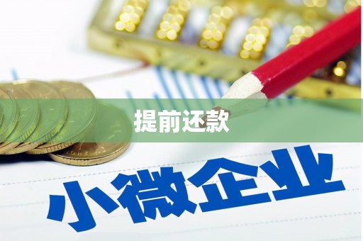 连云港提前还款