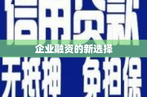 连云港企业融资的新选择