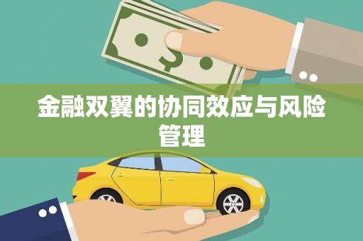 连云港金融双翼的协同效应与风险管理