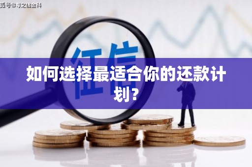 连云港如何选择最适合你的还款计划？