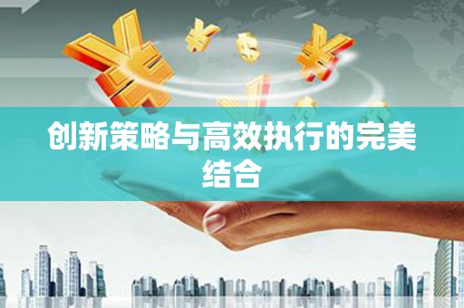连云港创新策略与高效执行的完美结合