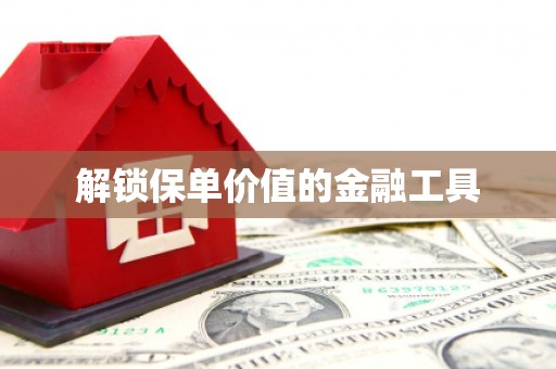 连云港解锁保单价值的金融工具