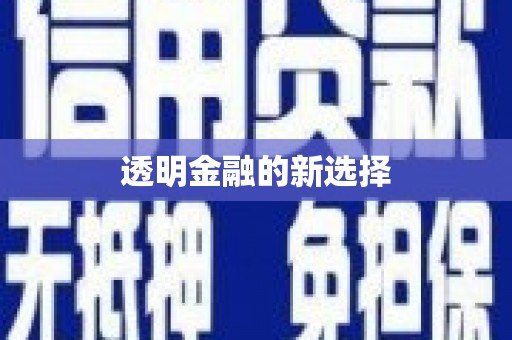 连云港透明金融的新选择
