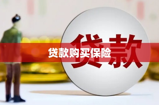 连云港贷款购买保险